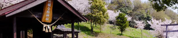 一般ご祈祷申込のご案内｜祈願合格神社